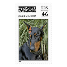 Doberman Butterfly Surprise Stamps