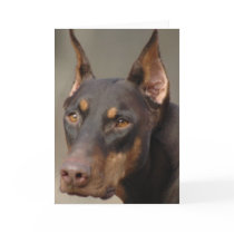 Doberman cards by wolfmountainstudio Doberman cards