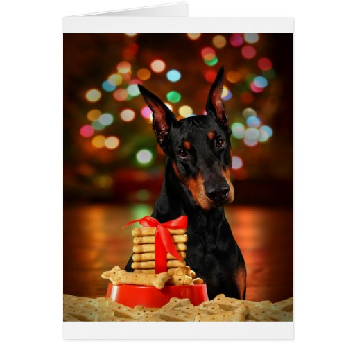 Doberman Christmas Cards 