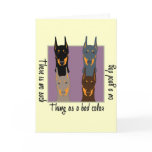 Doberman colors cards