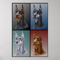 Doberman Colors Poster