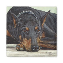 Doberman Dog magnet