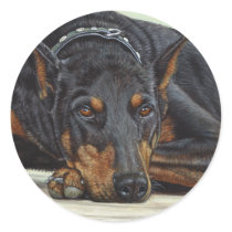 Doberman Dog Sticker