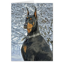 Doberman Fosty Day Greeting Cards