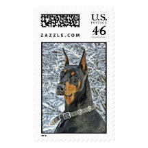 Doberman Frosty Day Close-Up Postage