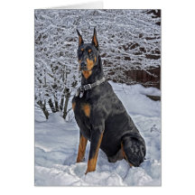Doberman Frosty Morning Greeting Card