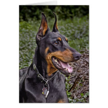 Doberman Glee! Card