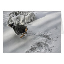 Doberman Happy Circle Greeting Card