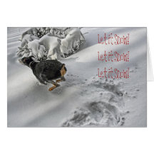 Doberman Holiday Bliss Greeting Card