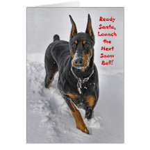 Doberman Holiday Card Snowball Catcher