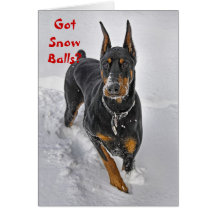 Doberman Holiday Card Snowball Catcher