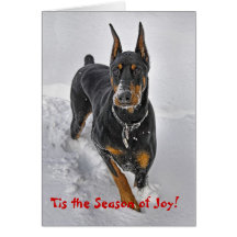 Doberman Holiday Card Snowball Catcher
