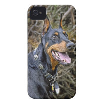 Doberman in Forest