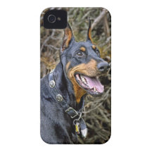 Doberman in Forest iPhone 4 Cases