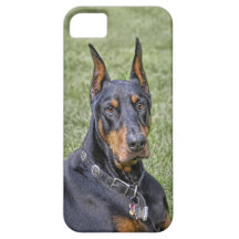 Doberman in Grass iPhone 5 Case
