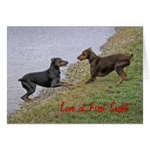Doberman Love at First Sight Card