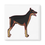 Doberman Pincher Refrigerator Magnet