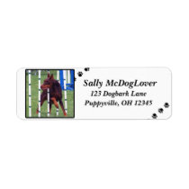 Doberman Pinscher Agility