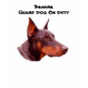 Doberman Pinscher Beware Funny T-Shirt by SmilinEyesTreasures Doberman Pinscher Beware Funny T-Shirt
