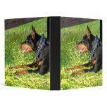 doberman Pinscher binder