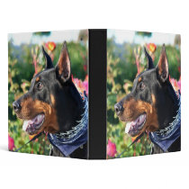 Doberman Pinscher Binder