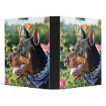 Doberman Pinscher Binder