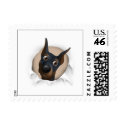 Doberman Pinscher (Black and Tan) ... - Customized postage by cartoondogs Doberman Pinscher (Black and Tan) ... - Customized postage
