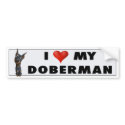 Doberman Pinscher (Black and Tan) Love Sticker bumper stickers by cartoondogs Doberman Pinscher (Black and Tan) Love Sticker bumper stickers