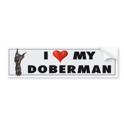 Doberman Pinscher (Black and Tan) Love Sticker Bumper Stickers by cartoondogs