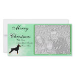 Doberman Pinscher - Black Body Photo Greeting Card