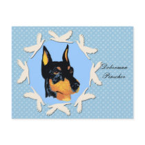 Doberman Pinscher ~ Black Dobie Portrait Postcards