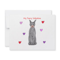 Doberman Pinscher Black Furry Valentine Invitations