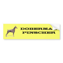Doberman Pinscher