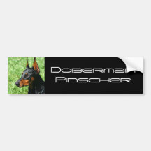 Doberman Pinscher bumper sticker