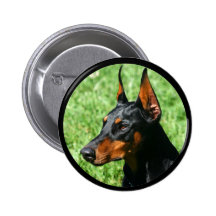 doberman pinscher buttons