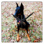 Doberman Pinscher Clock wall clocks