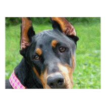 Doberman Pinscher Digital Art posters