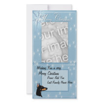 Doberman Pinscher ~ Dobie Kisses Photo Card