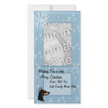 Doberman Pinscher ~ Dobie Kisses Photo Card