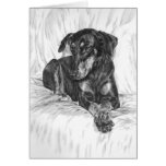 Doberman Pinscher Dog Drawing by Kelli Swan cards