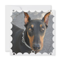 Doberman Pinscher Dog Invitation