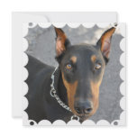 Doberman Pinscher Dog Invitation