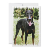 Doberman Pinscher Dog Invitation