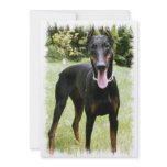 Doberman Pinscher Dog Invitation