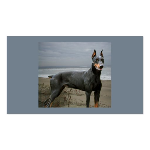 Doberman Pinscher Dog Lover Business Card