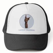 Doberman Pinscher (Fawn) Granddog hats by cartoondogs Doberman Pinscher (Fawn) Granddog hats