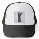 Doberman Pinscher (Fawn) hats by cartoondogs Doberman Pinscher (Fawn) hats