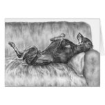 Doberman Pinscher Guard Dog Drawing by Kelli Swan cards