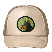 doberman pinscher hat