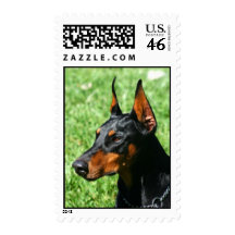 Doberman Pinscher postage